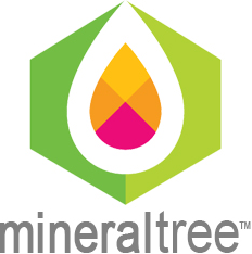 MineralTree Accounting App