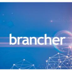 brancher Data Visualization App