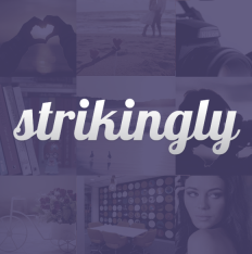 Strikingly Pro Website and Blog App