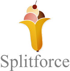 SplitForce Mobile Development App